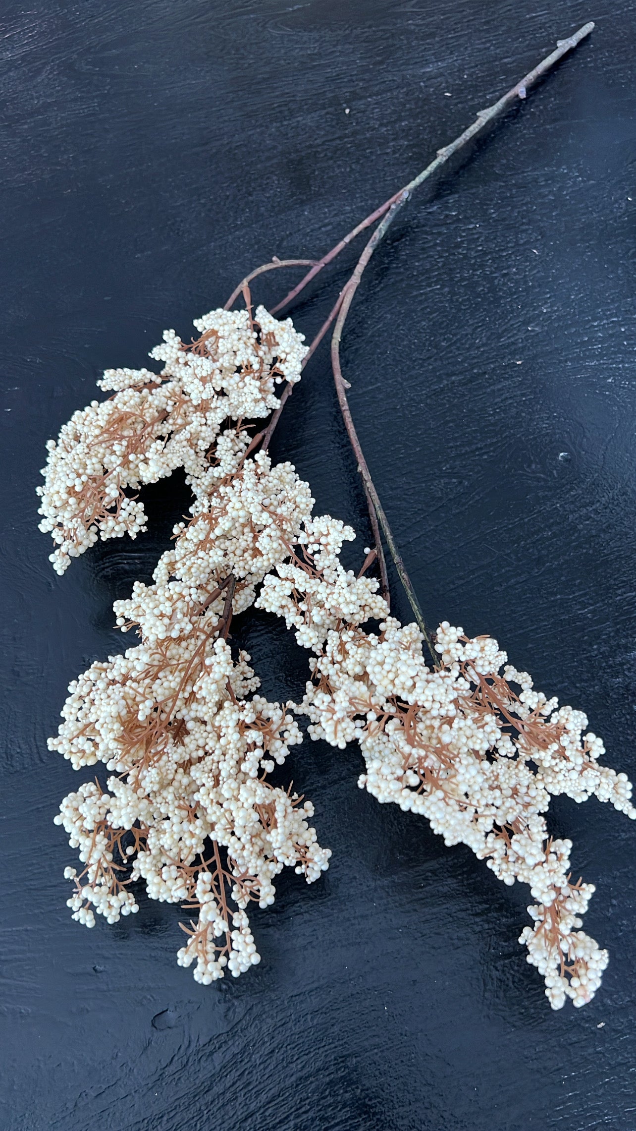 Artificial Dried bubble stem, available in 2 colours
