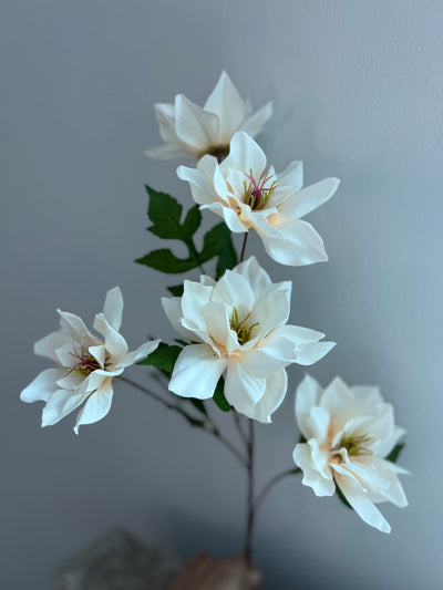 Magnolia ivory 5 head flower stem