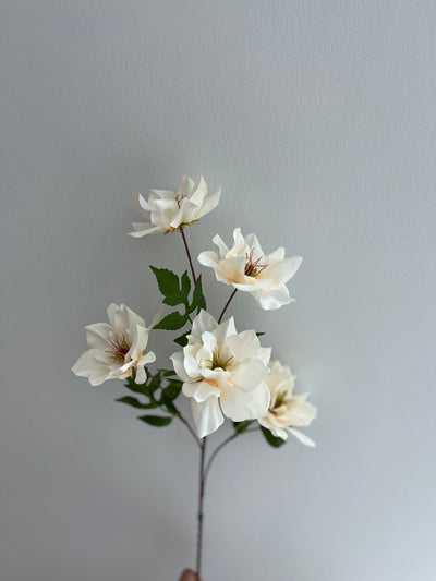 Magnolia ivory 5 head flower stem