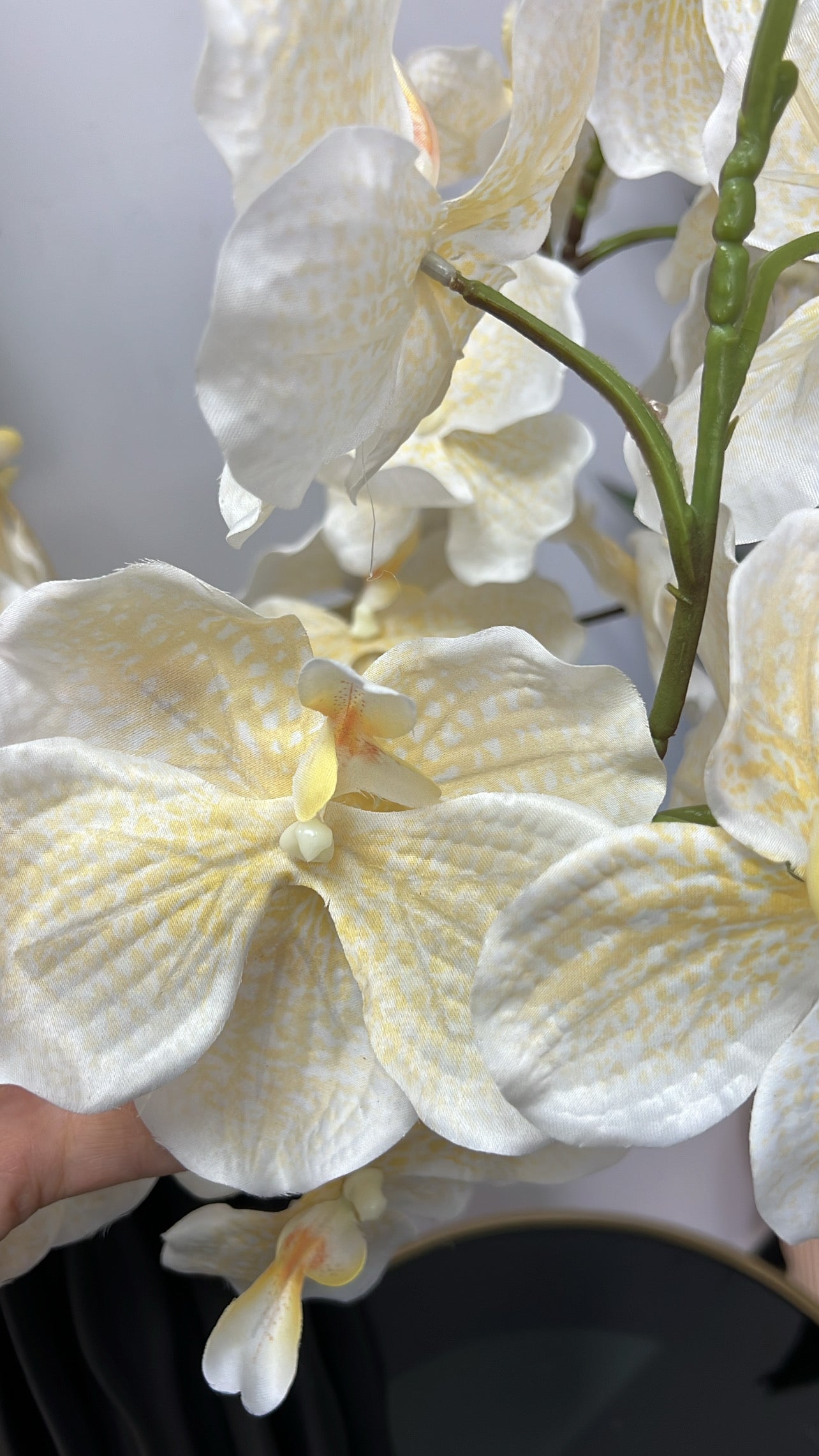 Angelican real touch yellow orchid 95 cm stem - Luscious Homewares