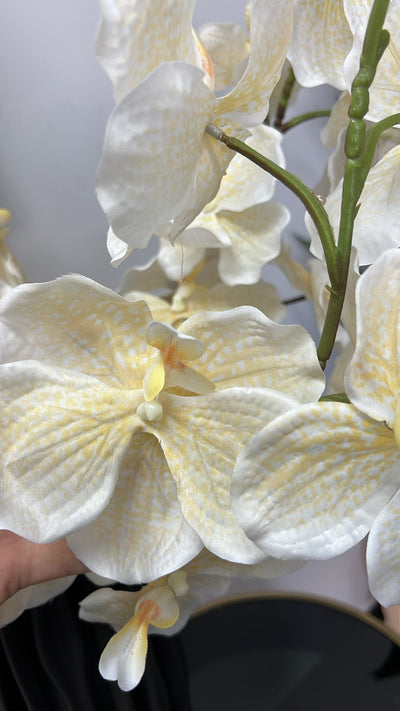 Angelican real touch yellow orchid 95 cm stem - Luscious Homewares