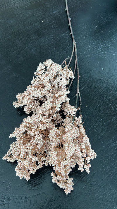 Artificial Dried bubble stem, available in 2 colours