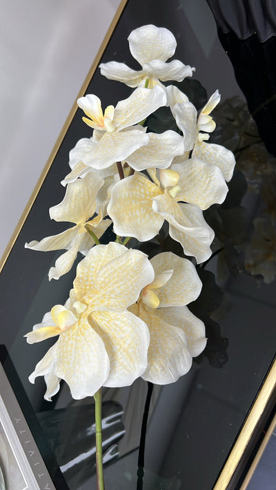 Angelican real touch yellow orchid 95 cm stem - Luscious Homewares