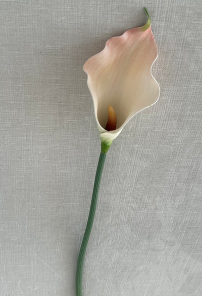 Calla Lily 70 cm stem - Luscious Homewares