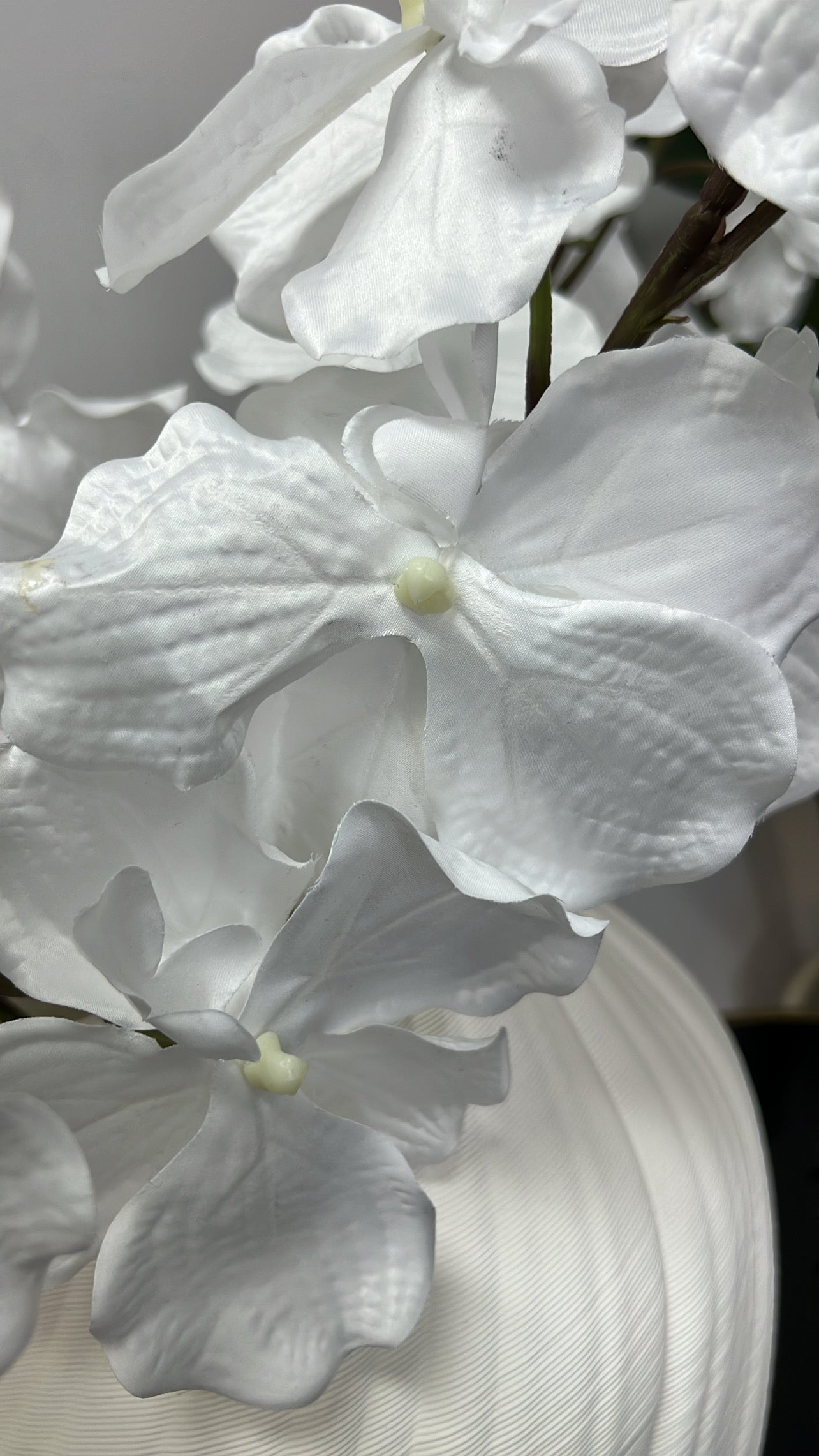 Angelican real touch white orchid 95 cm stem - Luscious Homewares