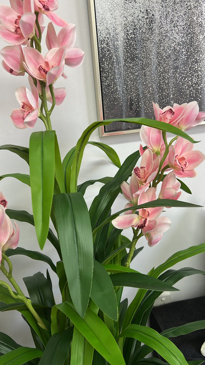 Cymbidium pink orchid artificial plant tree - Luscious Homewares