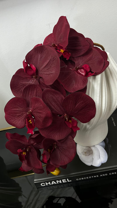 large burgundy orchid flower stem - Luscious Homewares