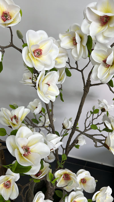 Magnolia white artificial tree plant - Luscious Homewares