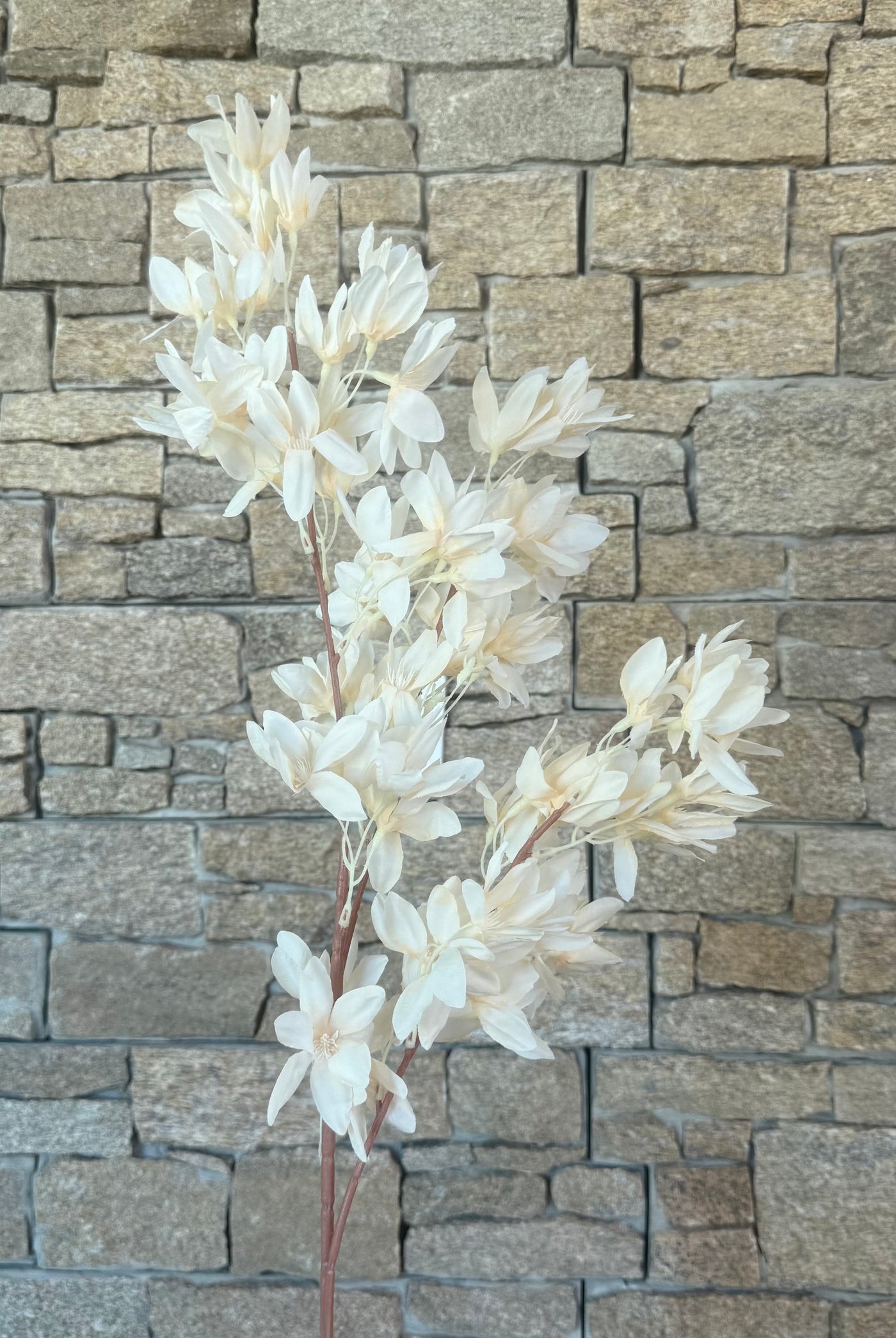 Cream Petal Cherry blossom branch 120 cm stem