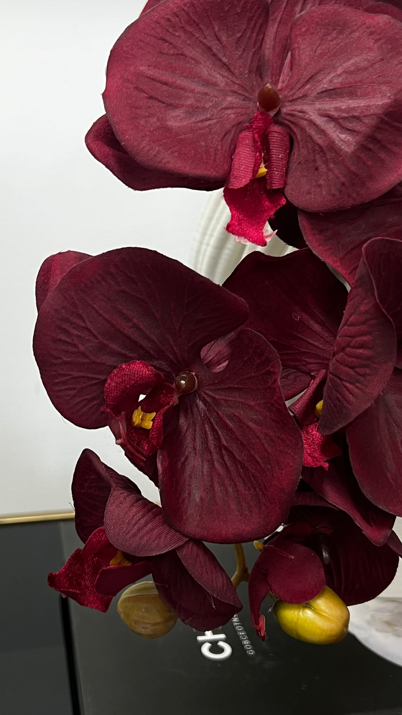 large burgundy orchid flower stem - Luscious Homewares