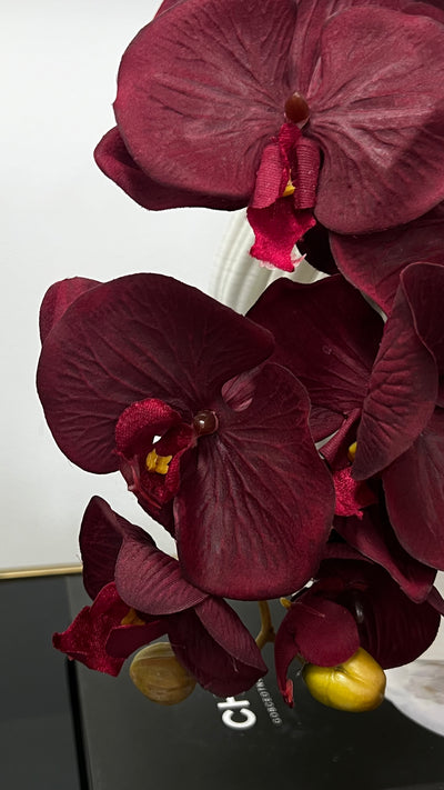 large burgundy orchid flower stem - Luscious Homewares