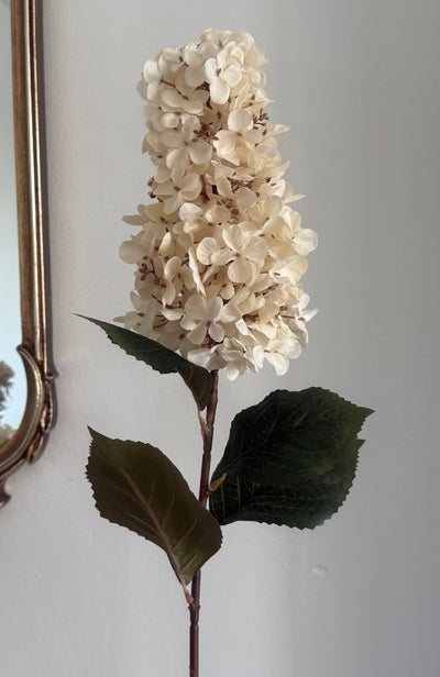 Cream Dried faux Hydrangea artificial stem