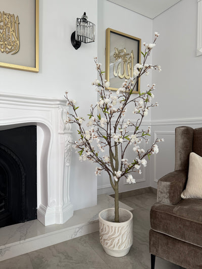 Cherry blossom tree