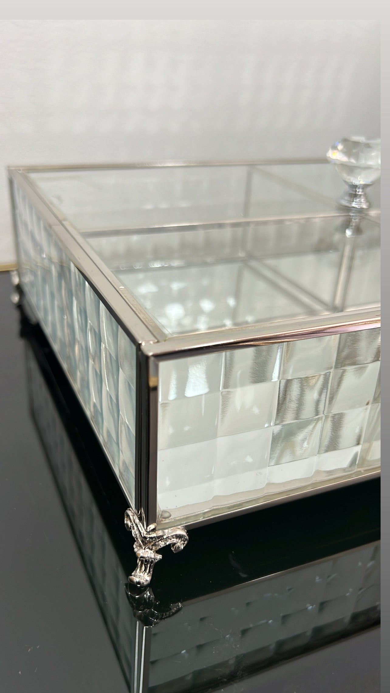 Porcha silver compartment box / serving - Luscious Homewares