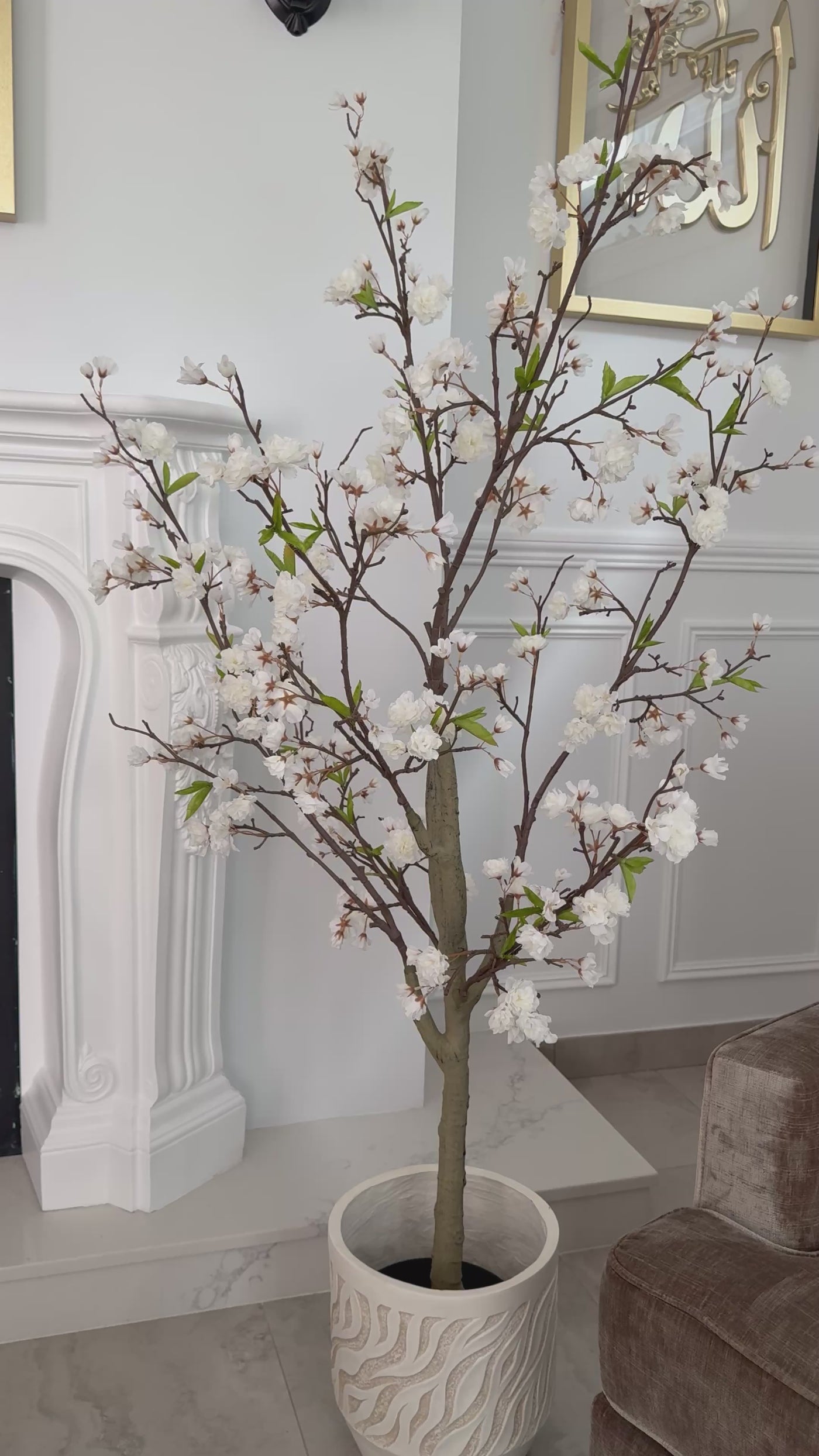 Cherry blossom tree